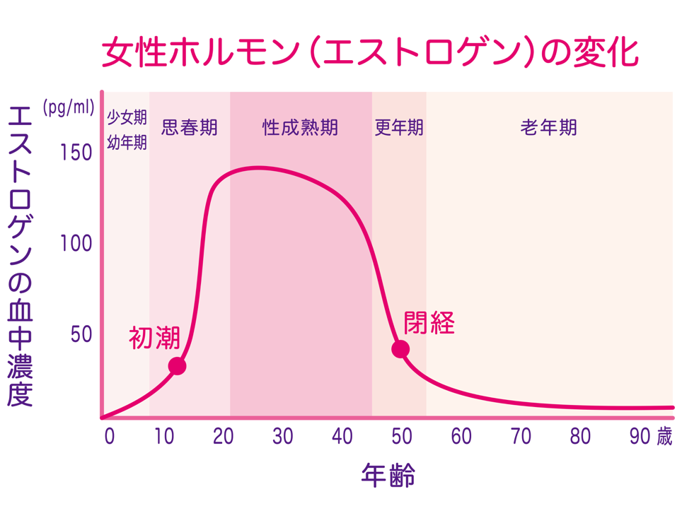 女性ホルモン（エルトロゲン）の変化