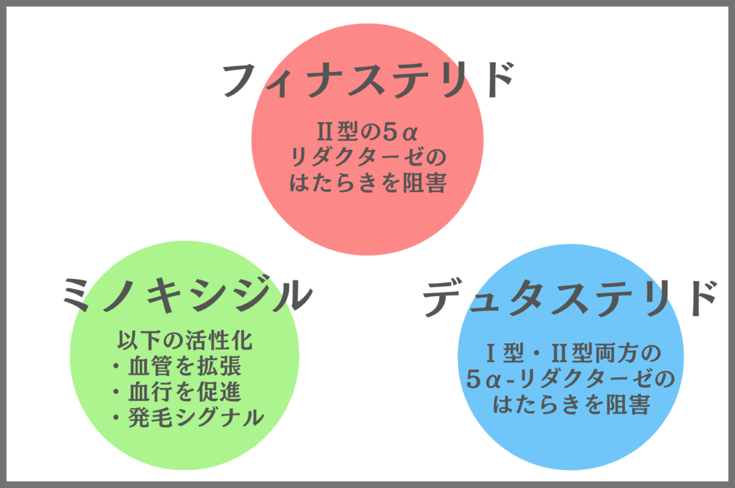 フィナステリド・ミノキシジル・デュタステリドの働き